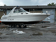 Sea Ray 290 Sundancer 290 315