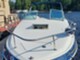 Sea Ray 240 Sundancer