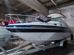 Sea Ray 240 Sundancer