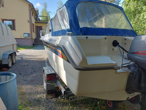 Bella 561
