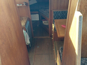 Suurnäkki Muu malli