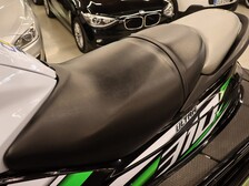 Kawasaki Ultra 310 X