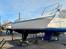 Finn 26