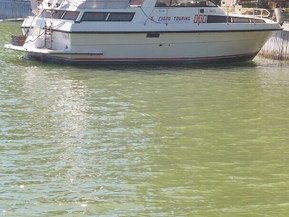 Fjord 880 AC