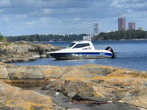 Silver Star Cabin 650