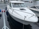 Bella 650