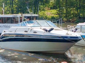 Sea Ray 240 Sundancer