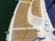 Aquador 23 DC