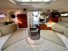 Sea Ray 245 sundancer