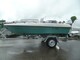 Terhi 4100 Verde