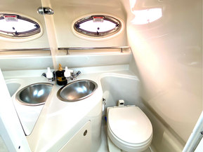 Sea Ray 245 sundancer