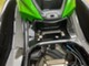 Kawasaki 300 X ultra