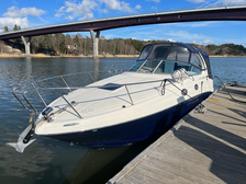 Sea Ray 315 Sundancer