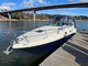 Sea Ray 315 Sundancer