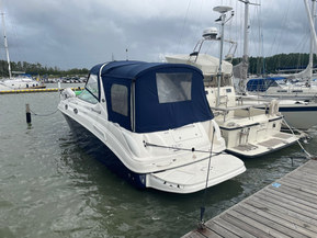 Sea Ray 315 Sundancer
