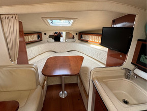 Sea Ray 315 Sundancer