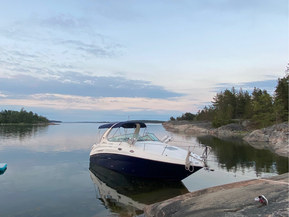 Sea Ray 315 Sundancer