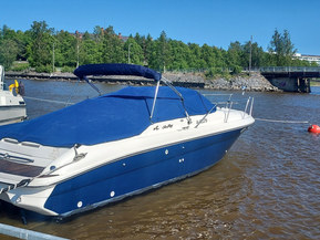 Sea Ray 280 Sun Sport