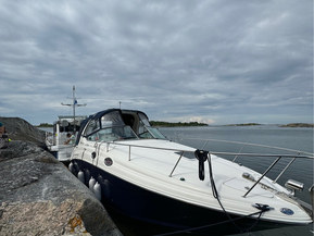 Sea Ray 315 Sundancer