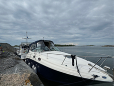 Sea Ray 315 Sundancer