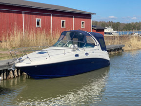 Sea Ray 315 Sundancer