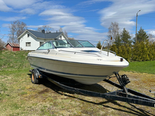 Sea Ray 200 CC
