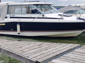 Bayliner 2159 Trophy