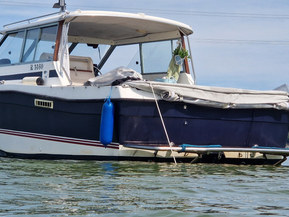 Bayliner 2159 Trophy