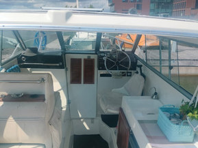 Bayliner 2159 Trophy