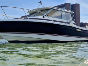 Bayliner 2159 Trophy
