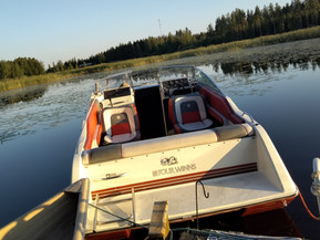 Four Winns 195 Freedom