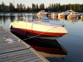 Four Winns 195 Freedom