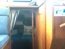 Albatross 29