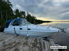 Sea Ray 315 Sundancer