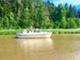 Albatross 29