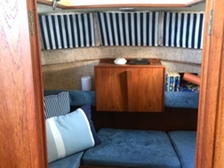 Albatross 29