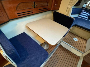 Sea Ray 315 Sundancer