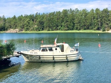 Albatross 29