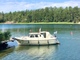 Albatross 29