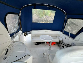 Sea Ray 315 Sundancer