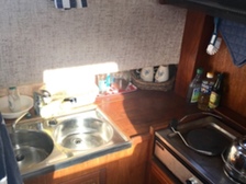 Albatross 29