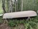 Näpsä 460