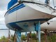 Sunwind 31