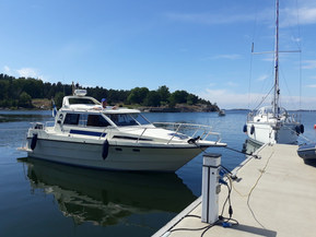 SeaStar 8000 Cruiser