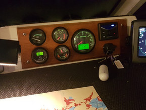 SeaStar 8000 Cruiser