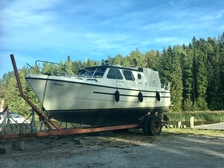Albatross 29