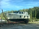 Albatross 29