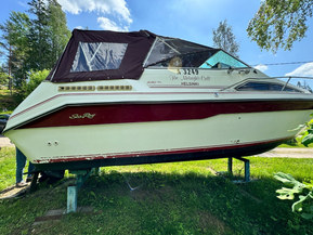 Sea Ray 