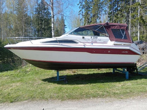 Sea Ray 