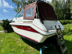 Sea Ray 